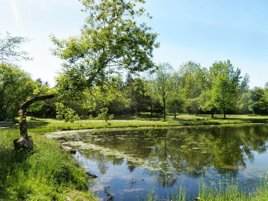 Outdoor Trail near a body of water in the summer